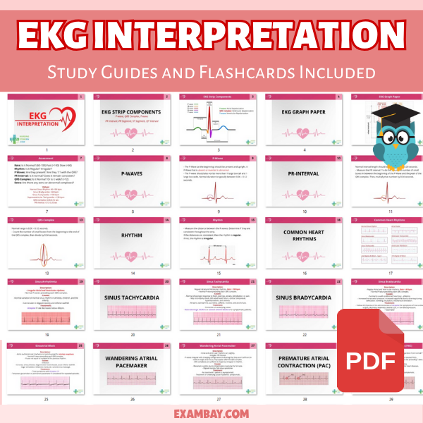 EKG & Dysrhythmia Interpretation