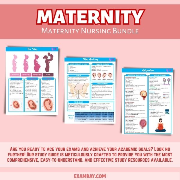 Maternity Nursing Bundle for Nursing School 2025-2026 | Maternity Nursing Study Guide