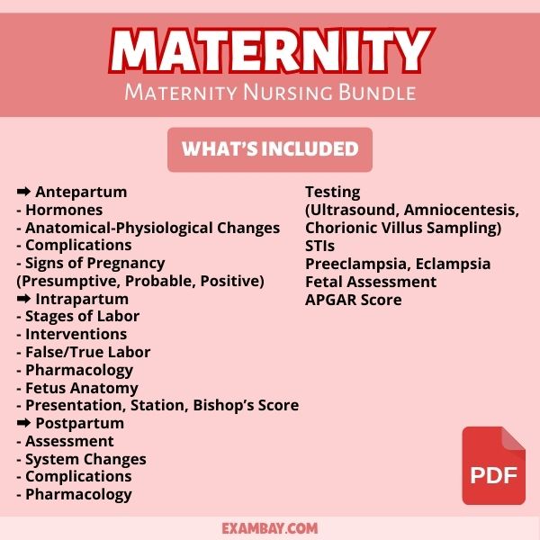 Maternity Nursing Bundle for Nursing School 2025-2026 | Maternity Nursing Study Guide