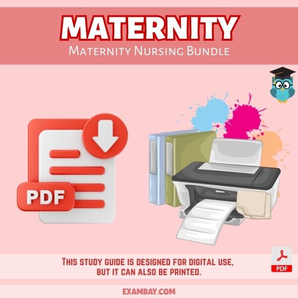 Maternity Nursing Bundle for Nursing School 2025-2026 | Maternity Nursing Study Guide