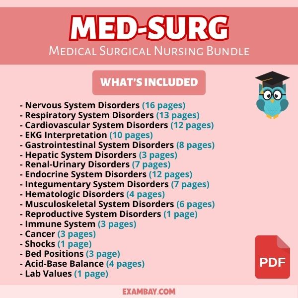 Medical Surgical Nursing Bundle for Nursing School 2025-2026 | Med-Surg Study Guide