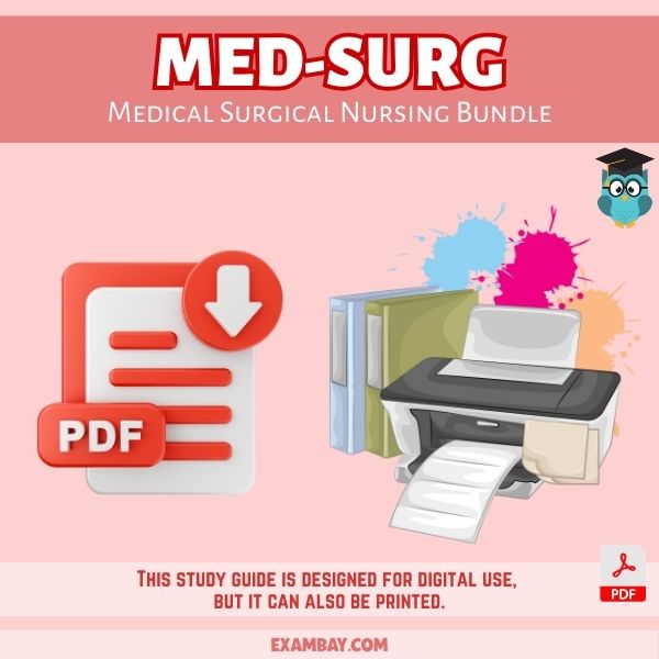 Medical Surgical Nursing Bundle for Nursing School 2025-2026 | Med-Surg Study Guide