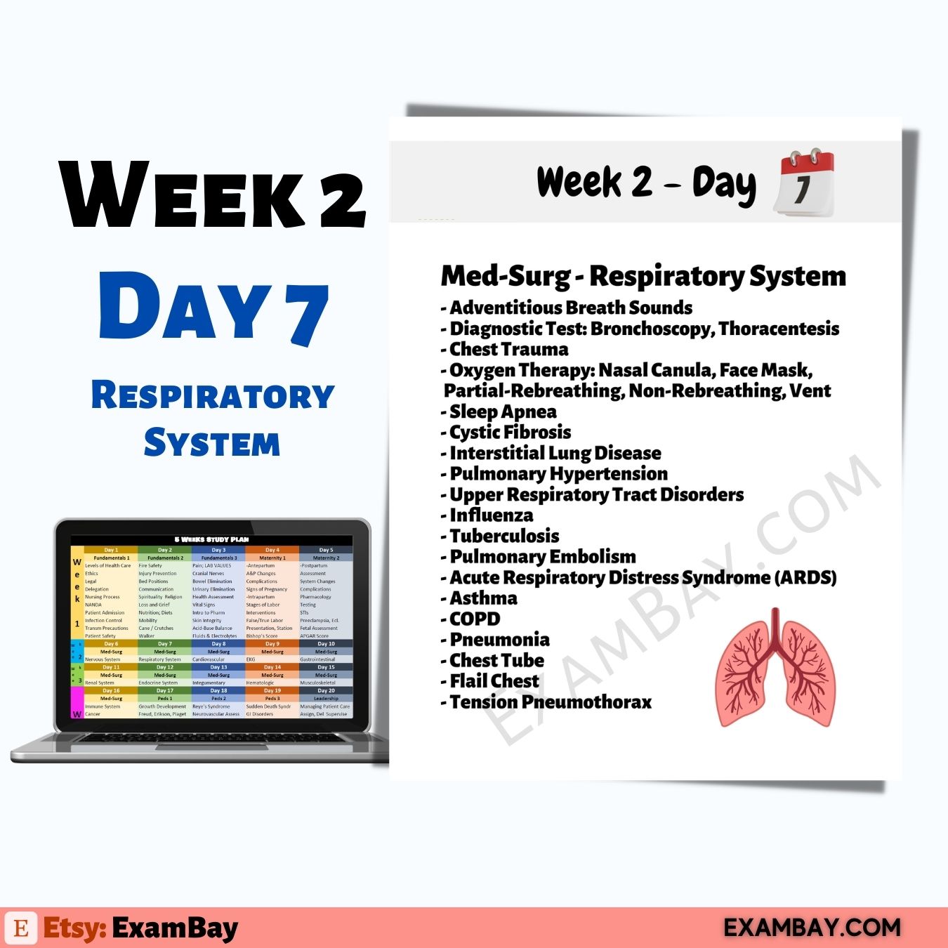Next Gen NCLEX - 5 Weeks Study Plan | Pass the NCLEX 2026
