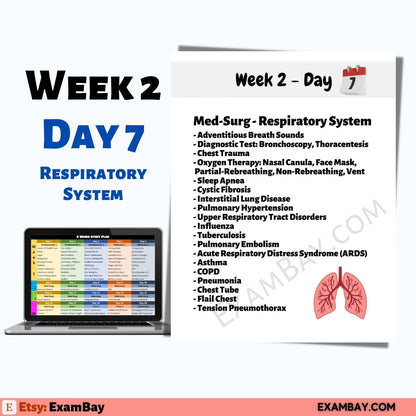 Next Gen NCLEX - 5 Weeks Study Plan | Pass the NCLEX 2026