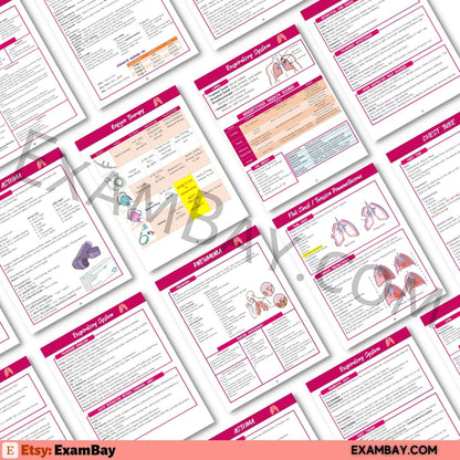 Next Gen NCLEX - 5 Weeks Study Plan | Pass the NCLEX 2026