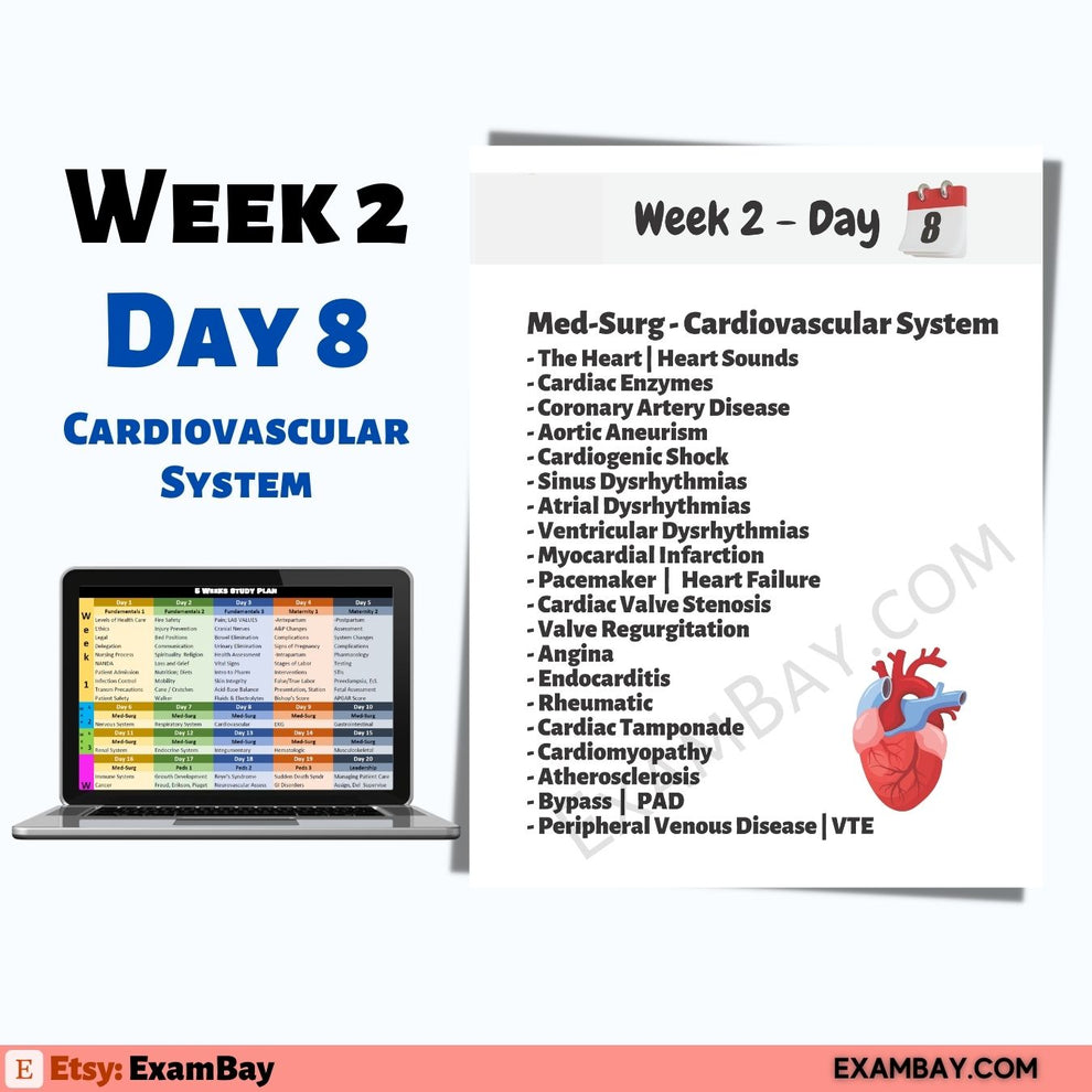 Next Gen NCLEX - 5 Weeks Study Plan | Pass the NCLEX 2026 – ExamBay