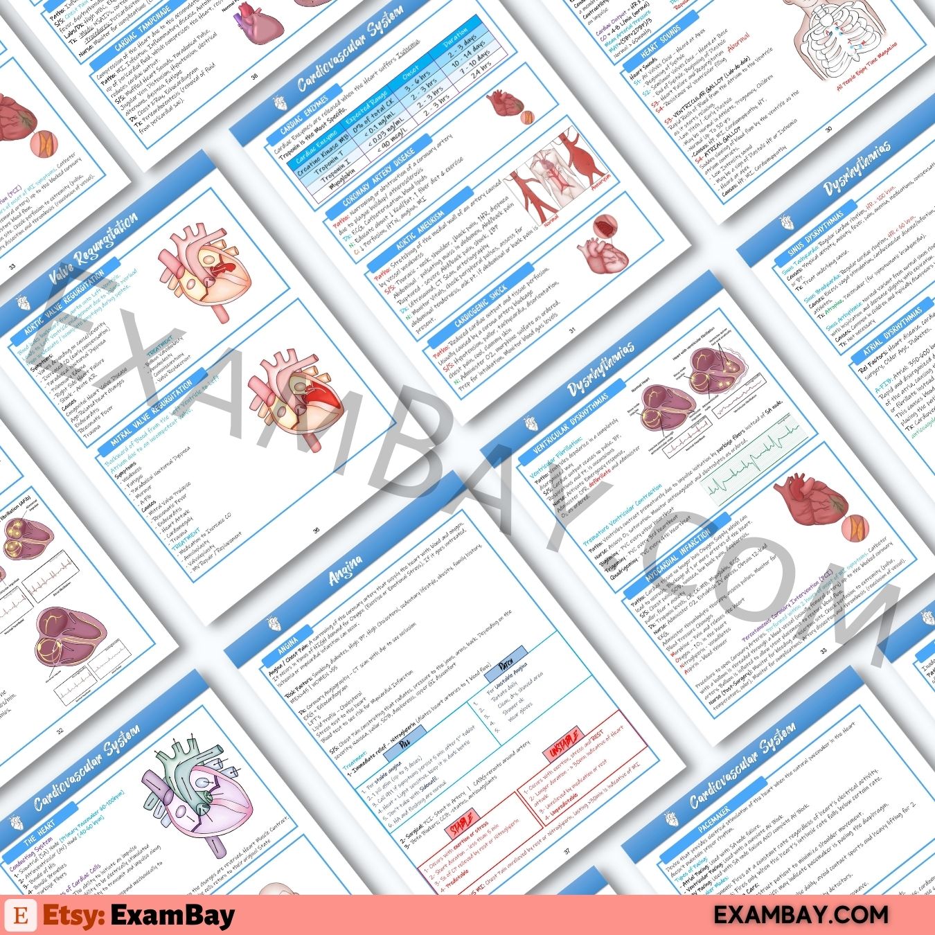 Next Gen NCLEX - 5 Weeks Study Plan | Pass the NCLEX 2026