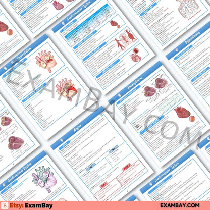 Next Gen NCLEX - 5 Weeks Study Plan | Pass the NCLEX 2026