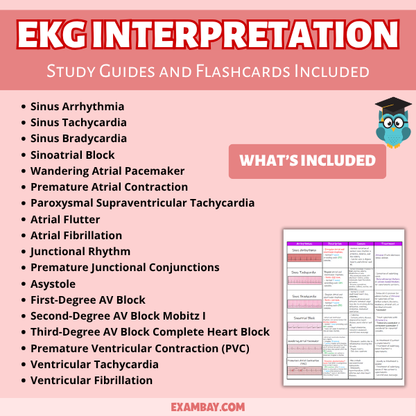 EKG & Dysrhythmia Interpretation