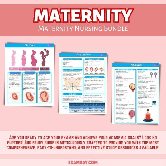 Maternity Nursing Bundle for Nursing School 2025-2026 | Maternity Nursing Study Guide