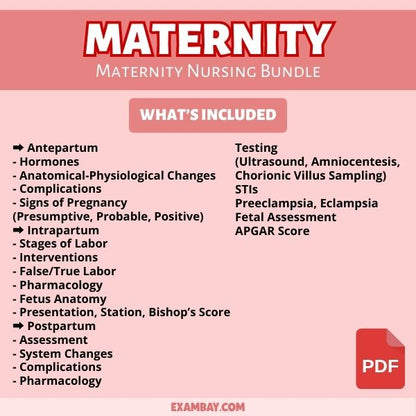 Maternity Nursing Bundle for Nursing School 2025-2026 | Maternity Nursing Study Guide