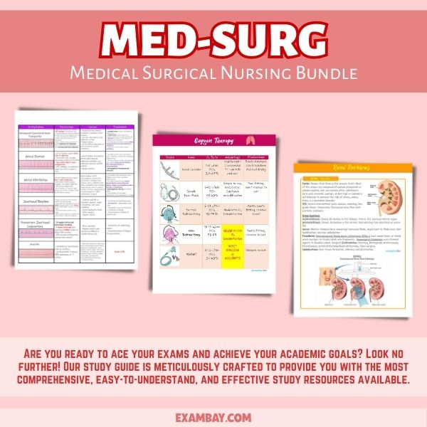 Medical Surgical Nursing Bundle for Nursing School 2025-2026 | Med-Surg Study Guide
