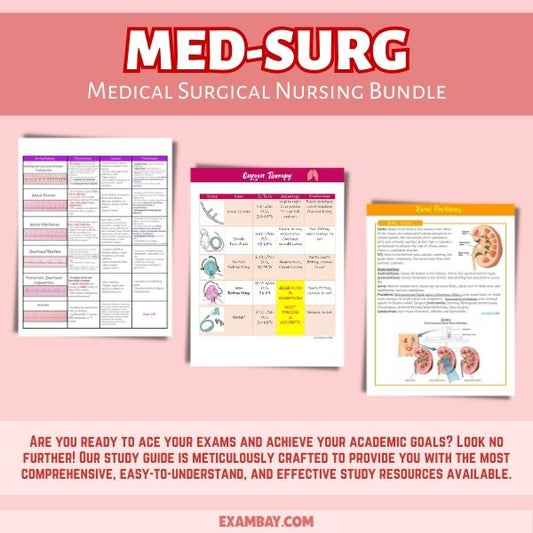 Medical Surgical Nursing Bundle for Nursing School 2025-2026 | Med-Surg Study Guide