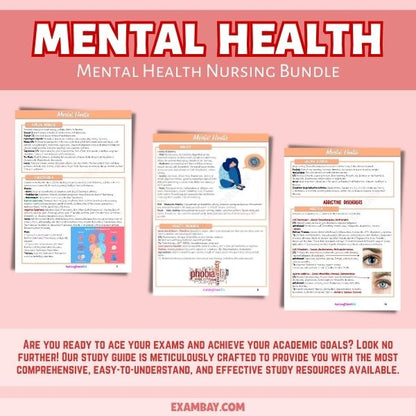 Mental Health Nursing Bundle for Nursing School 2025-2026