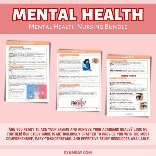 Mental Health Nursing Bundle for Nursing School 2025-2026